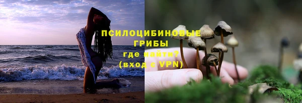тгк Алексеевка