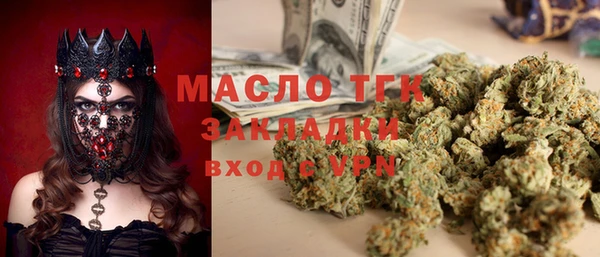 гидра Новодвинск